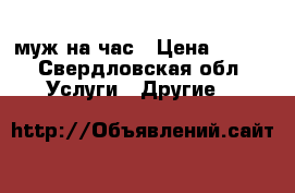 муж на час › Цена ­ 200 - Свердловская обл. Услуги » Другие   